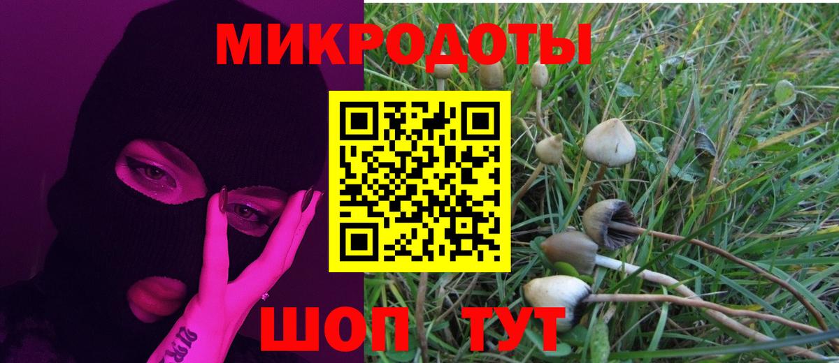 Вятские Поляны  Галлюциногенные грибы Cubensis  Псилоцибиновые грибы Psilocybe  Вход с VPN 